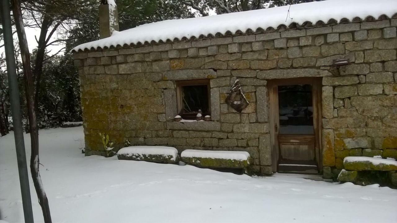 Agriturismo La Vigna 滕皮奥保萨尼亚 外观 照片