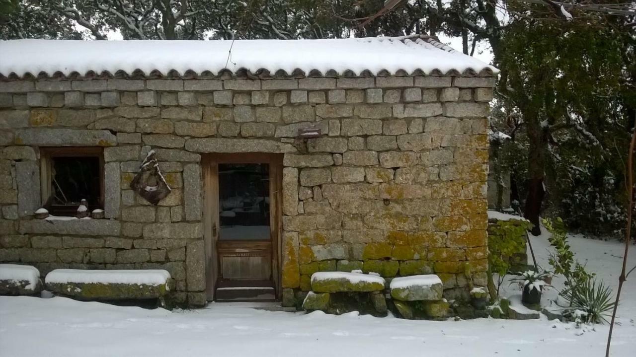 Agriturismo La Vigna 滕皮奥保萨尼亚 外观 照片