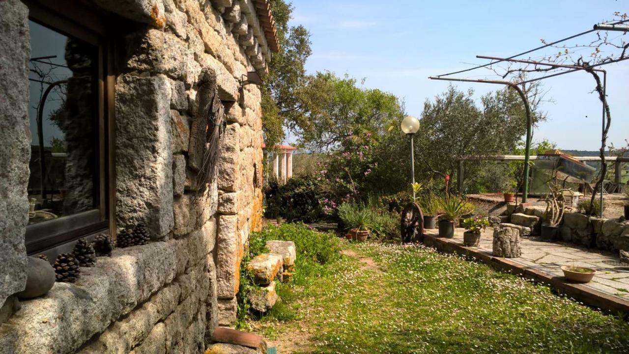 Agriturismo La Vigna 滕皮奥保萨尼亚 外观 照片