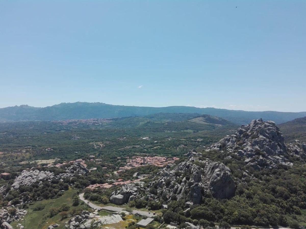 Agriturismo La Vigna 滕皮奥保萨尼亚 外观 照片